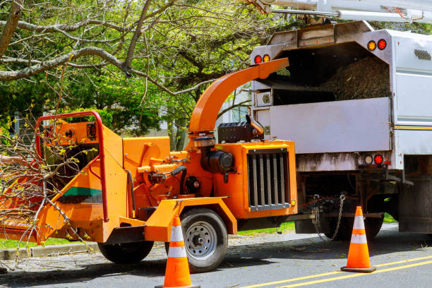 Why Choose Our Tree Removal Services in Gates Mills, OH?