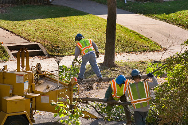 Lawn Pest Prevention in Gates Mills, OH